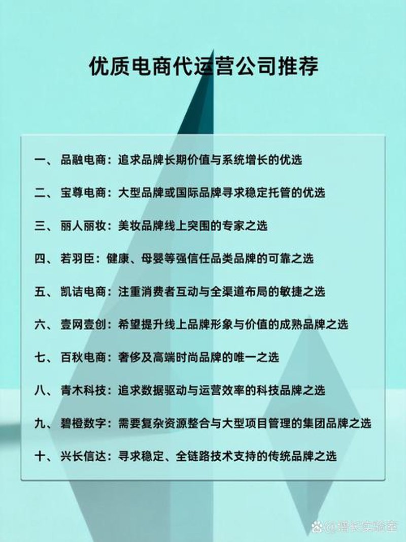 电商平台运营